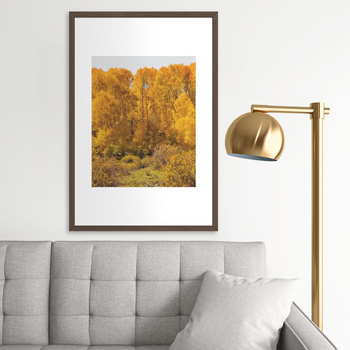 Groves of Gold III