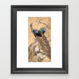A Pair of Peacocks in Spring - Japanese Painting Framed Art Print
