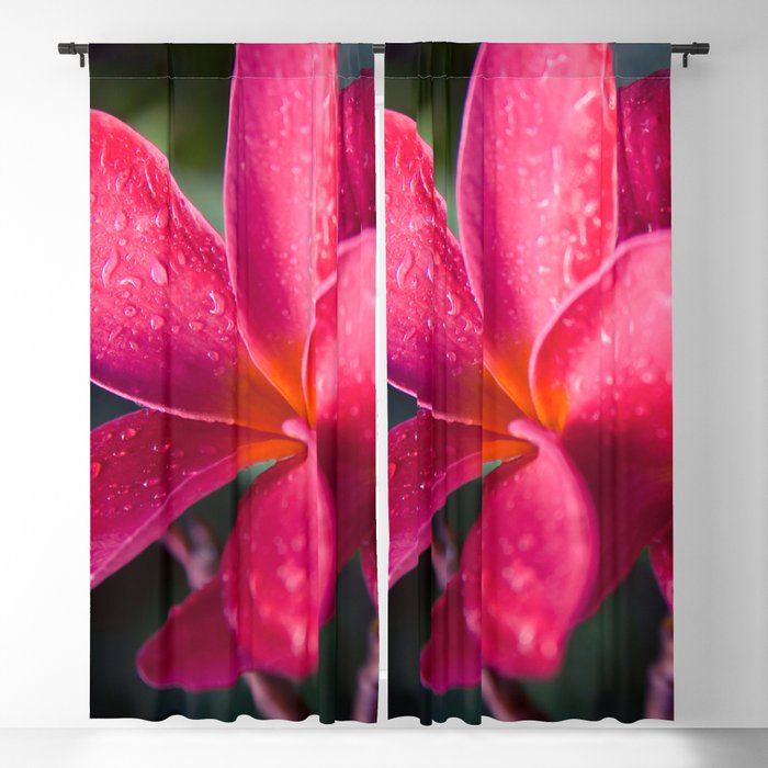 Plumeria Pink Pua Melia ke Aloha Maui Blackout Curtain