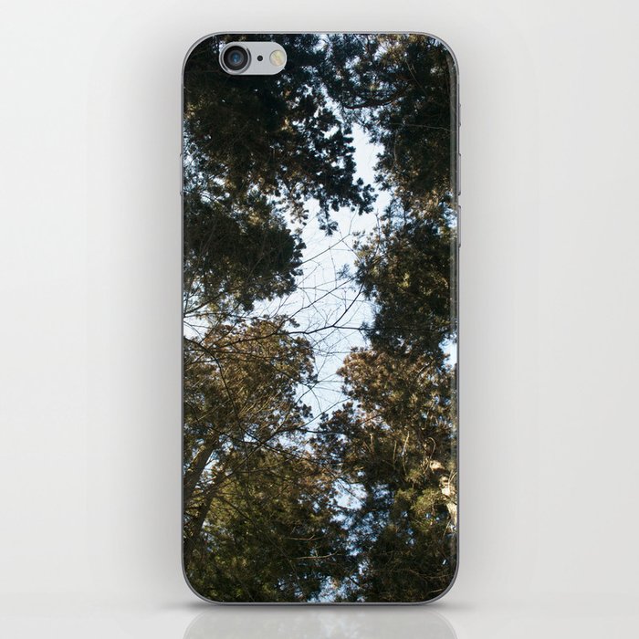Forest SOLD!! iPhone Skin