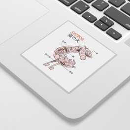 The CatDog Anatomy Sticker
