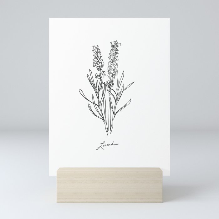 Lavender botanical minimalist line art Mini Art Print