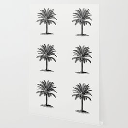 Vintage European Style Palm Tree Engraving Wallpaper