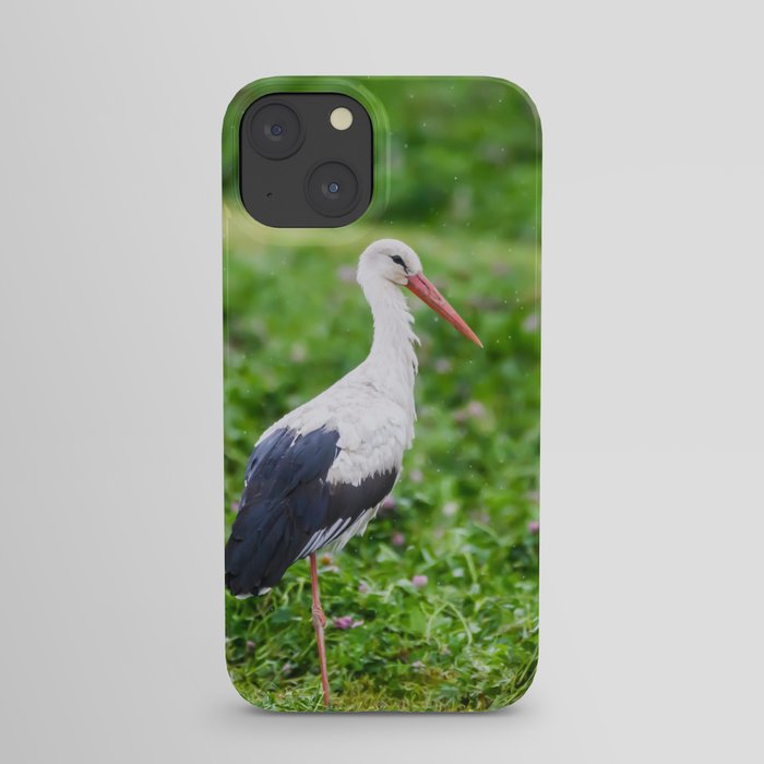 White stork iPhone Case