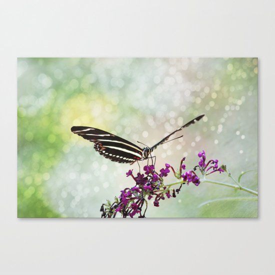 Born to Fly Canvas Print
