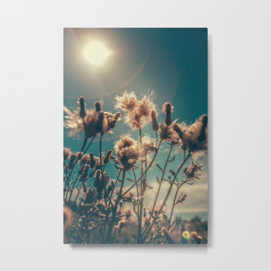 Blossom Metal Print
