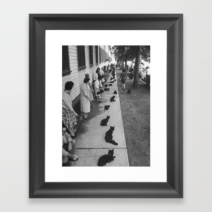 Black Cats Auditioning in Hollywood black and white photograph Framed Art Print
