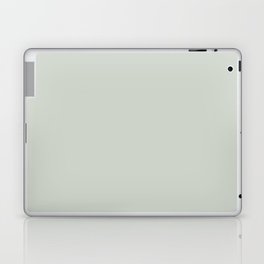 Pasture Green Gray Single Solid Color Coordinates with PPG Bay Of Fundy PPG10-07 Blue Persuasion Laptop Skin