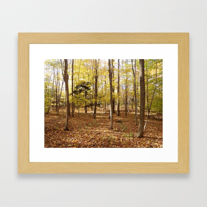 Autumn Framed Art Print