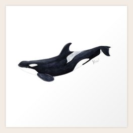 Orca Art Art Prints Society6