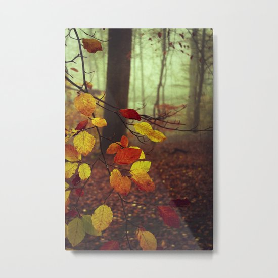 Leaves in Autumn Metal Print