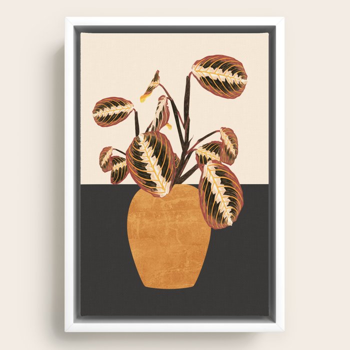 Framed Canvas
