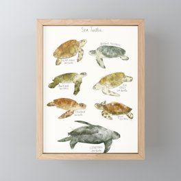 Sea Turtles Framed Mini Art Print