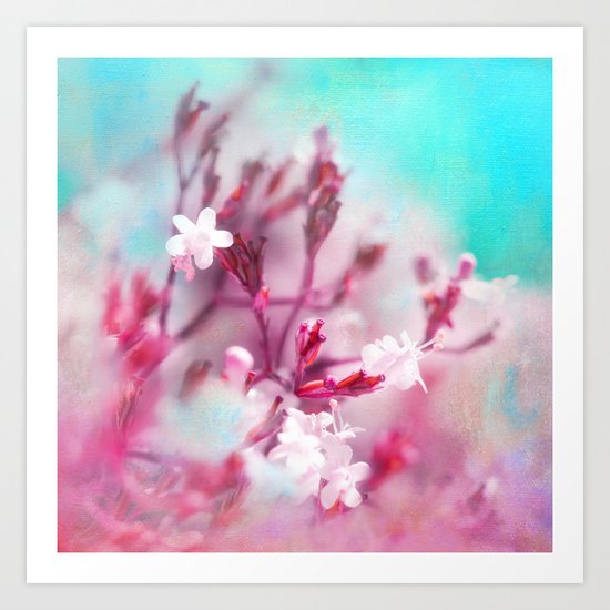 PINK FAIRIES Art Print