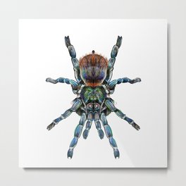 BottleGreen Blue Tarantula Metal Print | Etymology, Colorfulspider, Spider, Eden, Spiderlovers, Digital, Arteden, Edenelwell, Artwork, Tarantula 