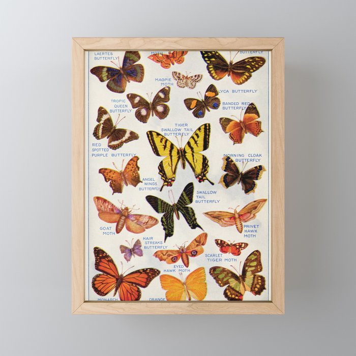 Vintage Butteryfly and Moth Illustration, 1920s Dictionary Page Framed Mini Art Print