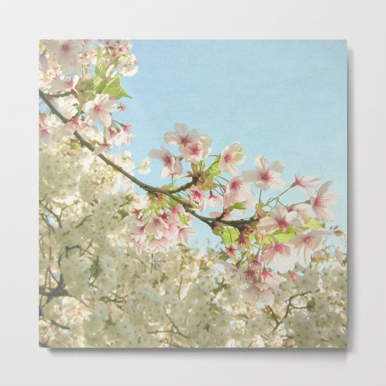 Pink on White Metal Print