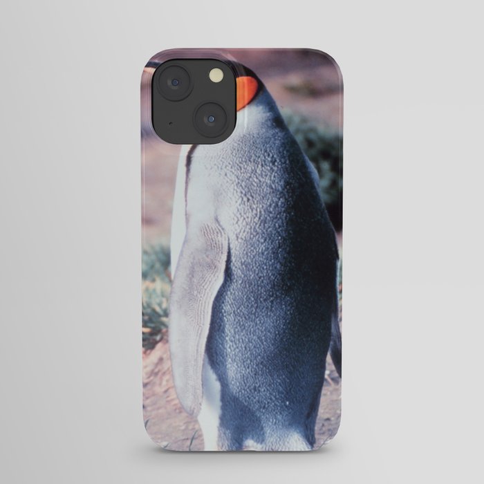 King Penguin on Heard Island iPhone Case