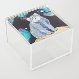 Comet Manul Acrylic Box