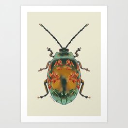 Floral Beetle 1 Art Print