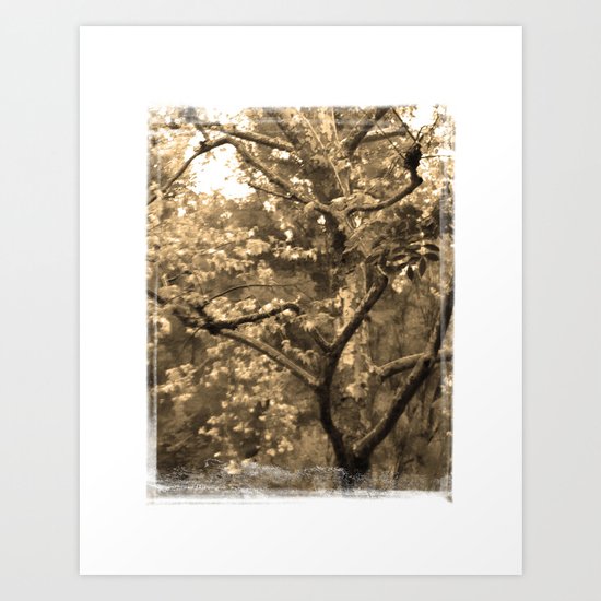 Tree of Hearts - Sepia Art Print