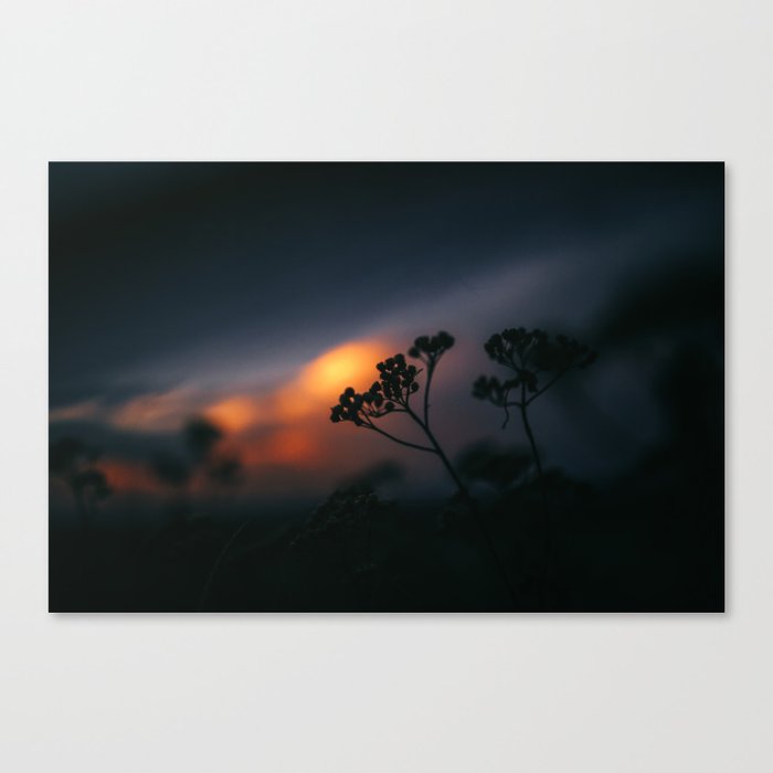 Everything but Light Canvas Print