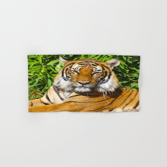 Tiger Hand & Bath Towel