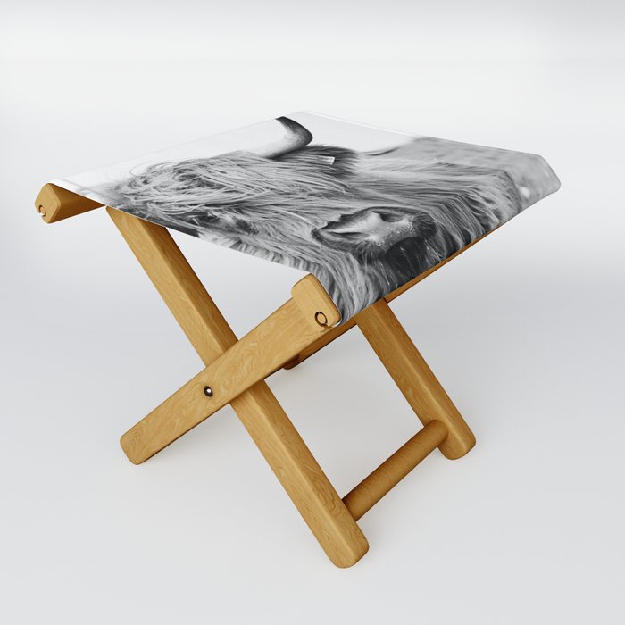 Highland Cattle Closeup Folding Stool