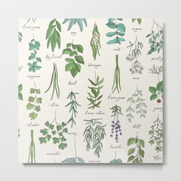 Herbs Collection Pattern Metal Print