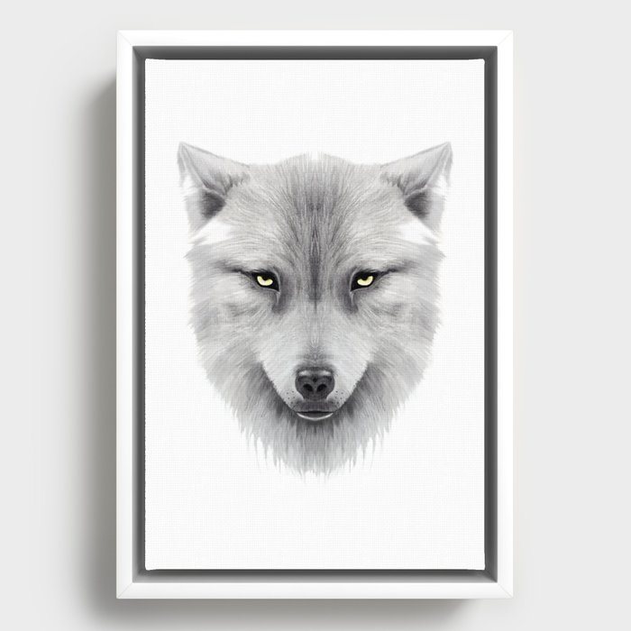 White Wolf Framed Canvas