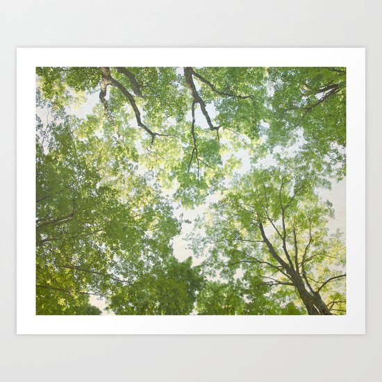 Trees Art Print