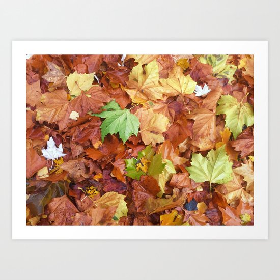Autumn Leaves Art Print