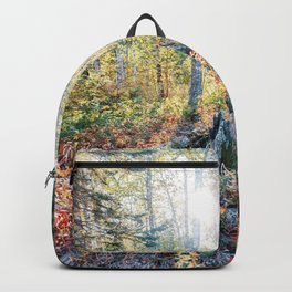 Minnesota North Shore Forest in Fall | Autumn Nature Photography Backpack