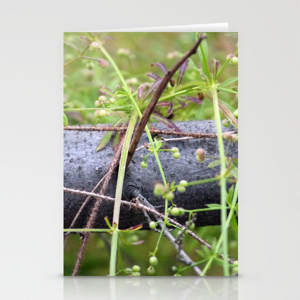 Overgrown branch Stationery Cards