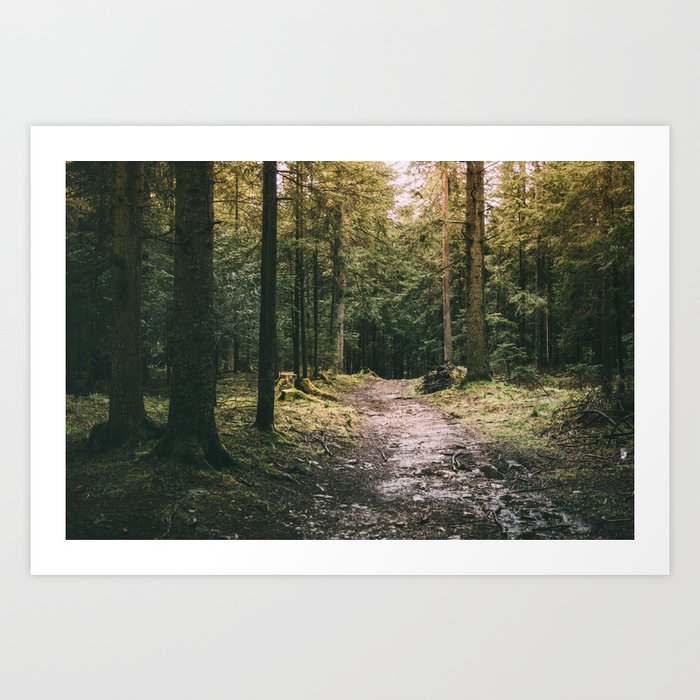 Mysterious Forest Path - Dark Woods Pathway Art Print