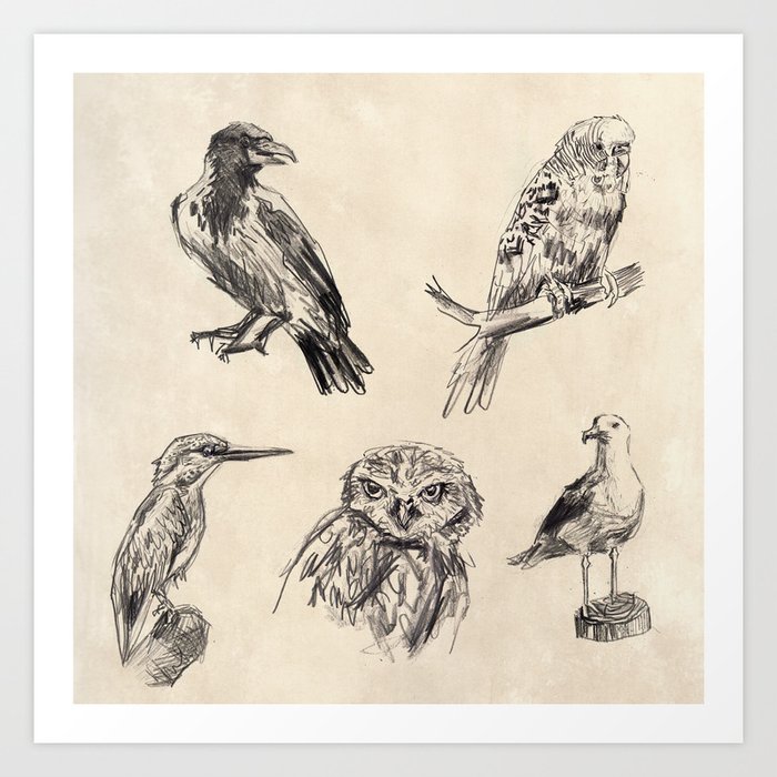Bird Vintage Sketches 2 Art Print By Alextroi