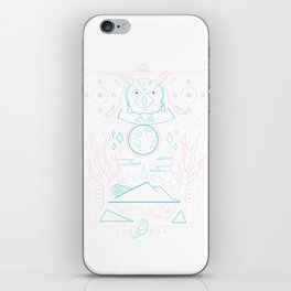 Owl Kingdom iPhone Skin