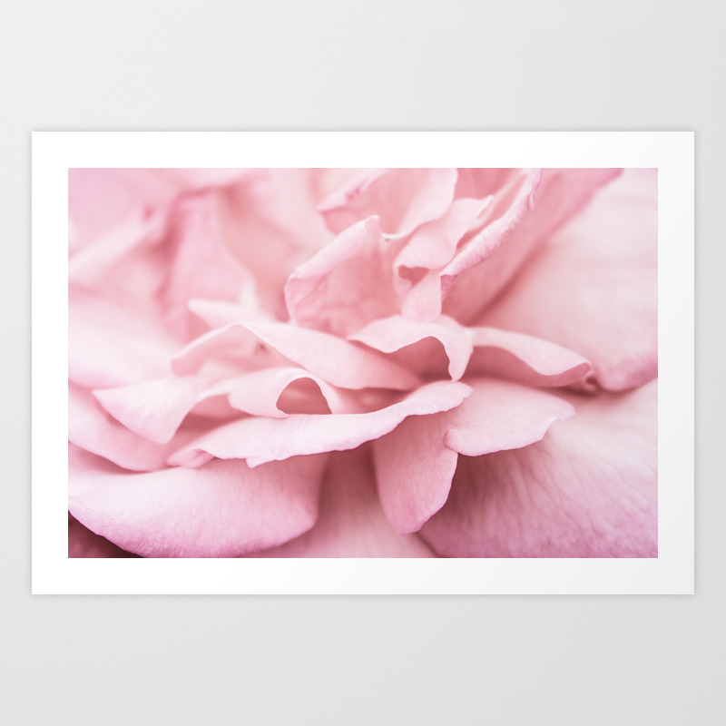 Pink Rose Petals Art Print By Beyondreason Society6