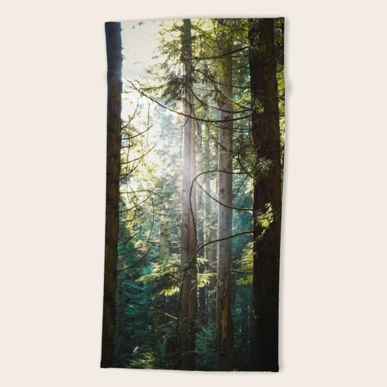 Luminosity Beach Towel