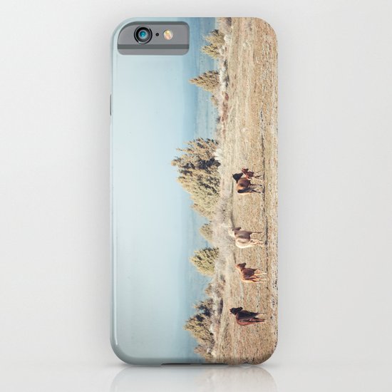 Oregon Wilderness Horses iPhone & iPod Case