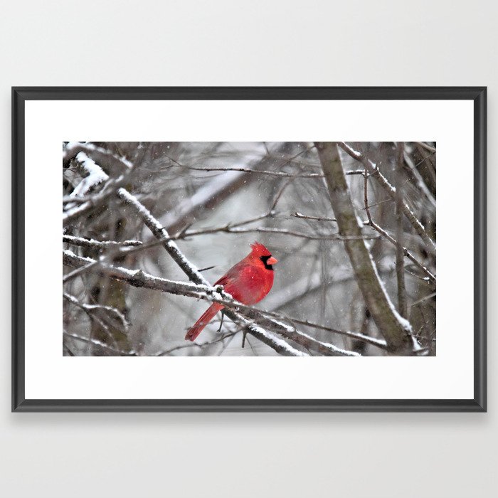Quiet Time in the Snowy Woods Framed Art Print