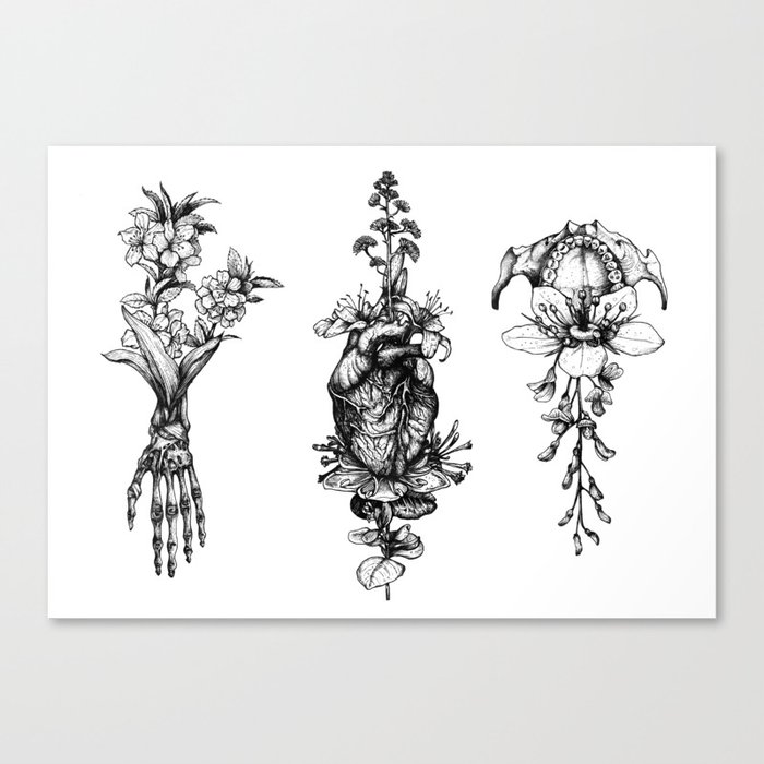 In Bloom - herbarium Canvas Print by Sinpiggyhead | Society6