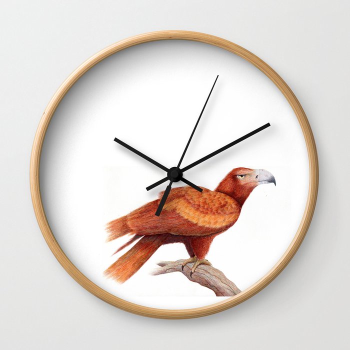 Wedged-tailed Eagle Wall Clock