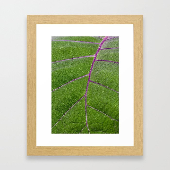 Leaf Nerves Framed Art Print