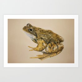  frog Art Print