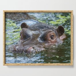 Hippo In The Water Serving Tray