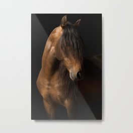 Horse Fine Art Metal Print | Photo, Etalon, Stalion, Animalphotography, Horse, Purespanishhorse, Animal, Cheval, Wild 