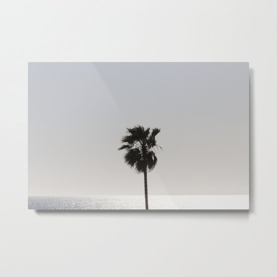Sun Palm Metal Print