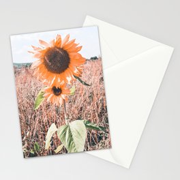 VIntage sunflower field Stationery Card