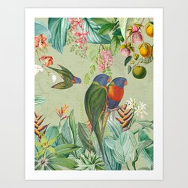 Vintage Colorful Tropical Parrots Rainforest BirdsJungle Art Print